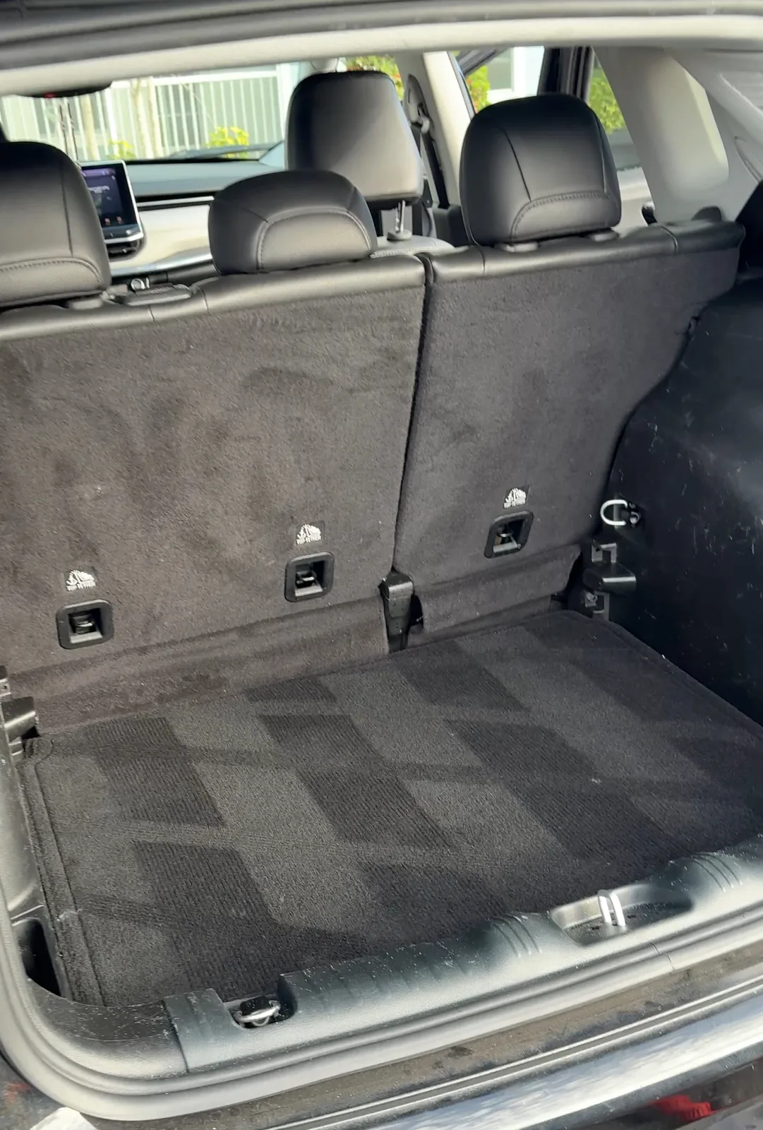 Clean SUV cargo area after interior detail