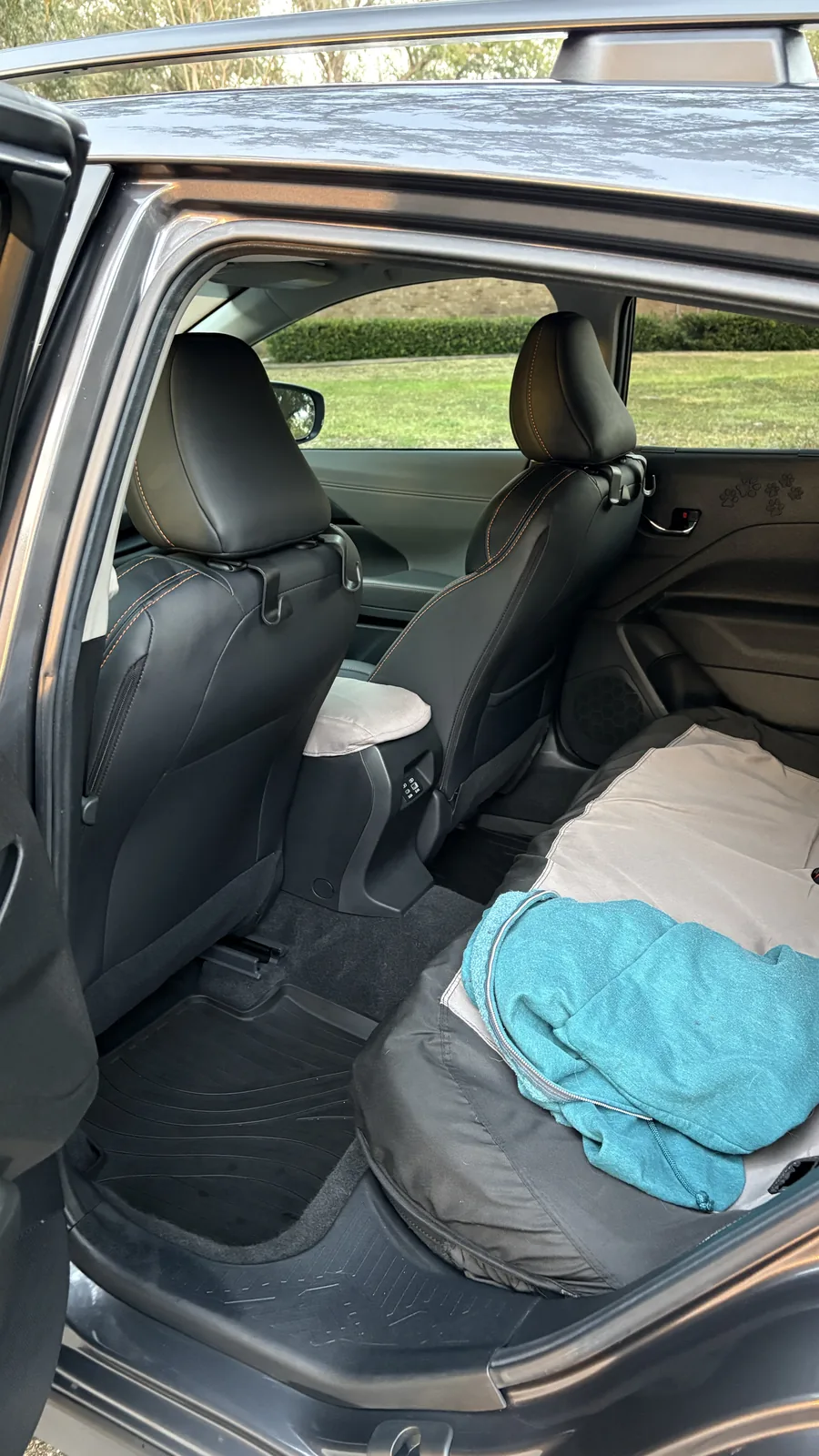 Clean rear passenger area after pet hair removal