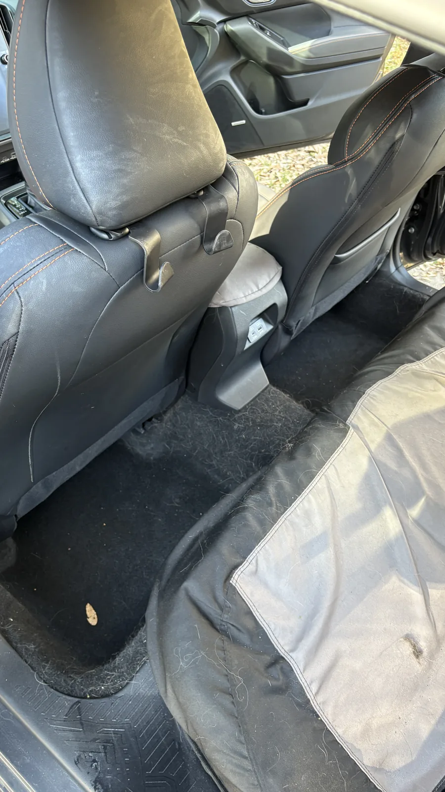 Rear passenger area with pet hair before detail
